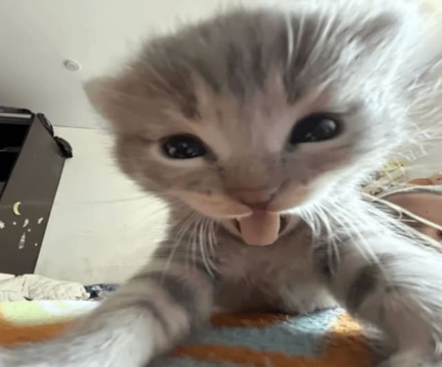 77user profile picture