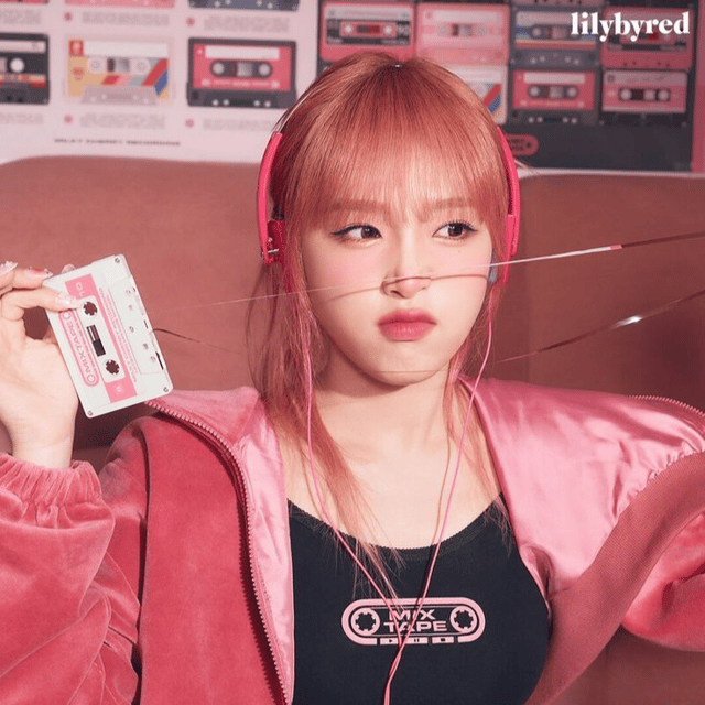 TokkiDokkie profile picture