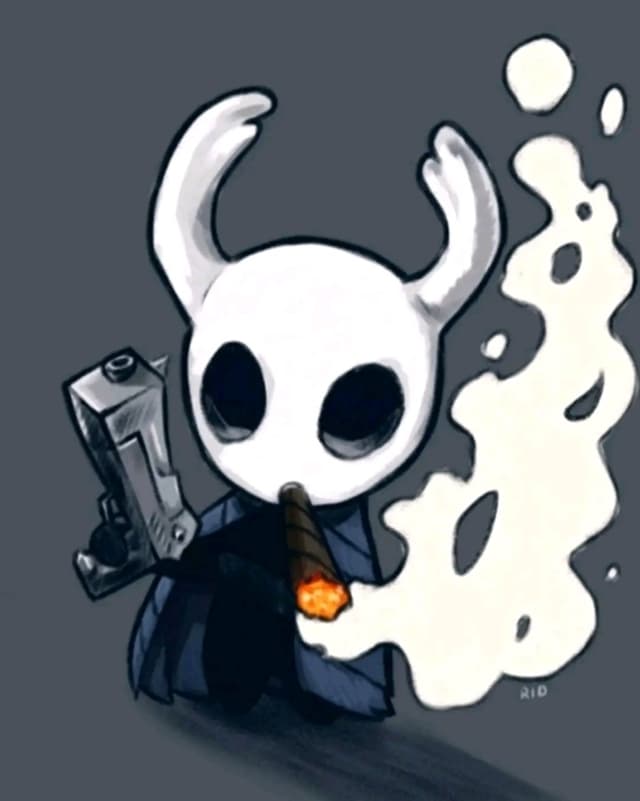 Hollowknightfan profile picture