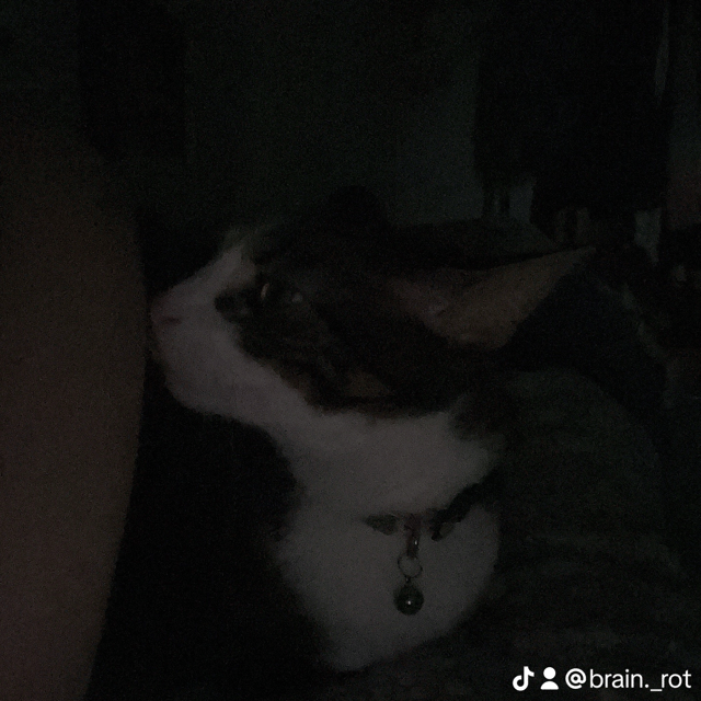 undefined Image