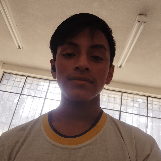 Voice AI Voice