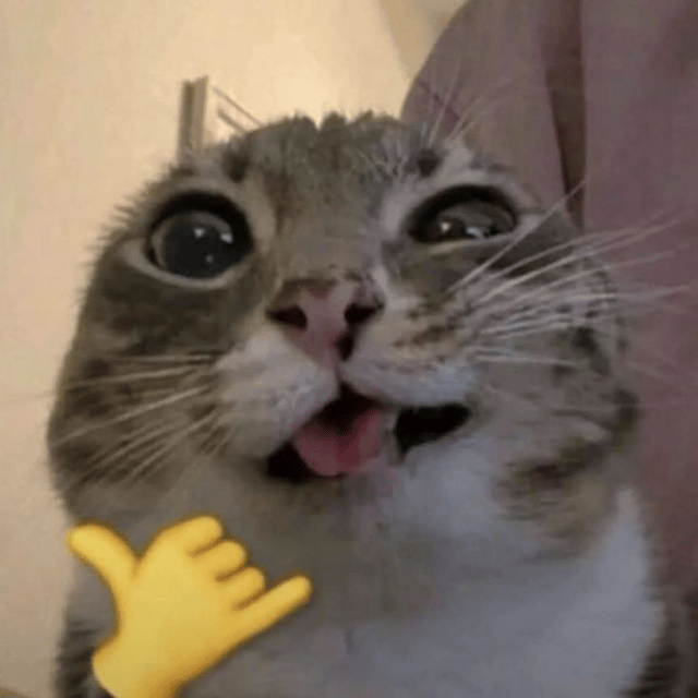 Voice AI Voice