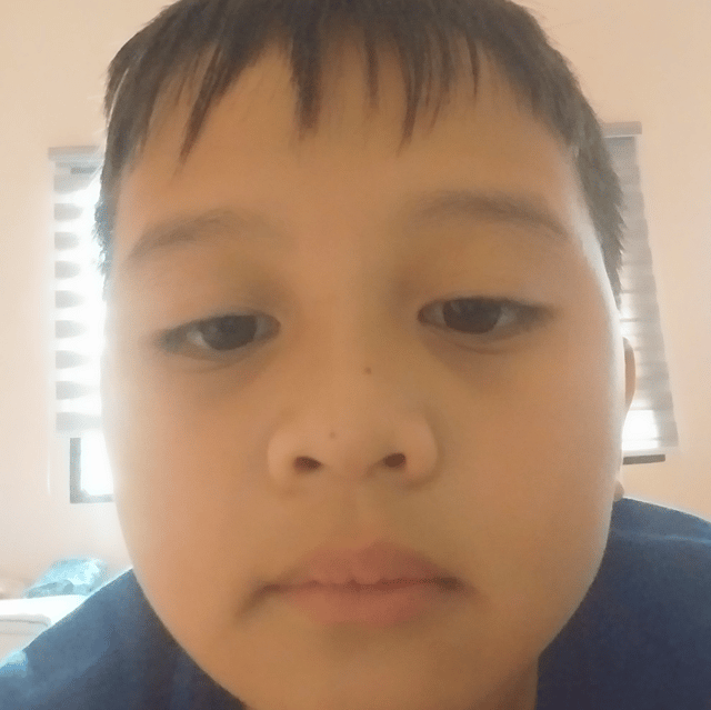 Voice AI Voice