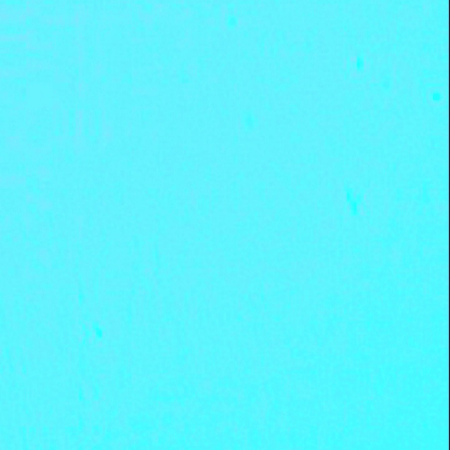 Voice AI Voice