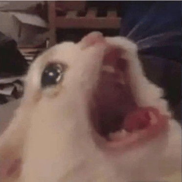 Voice AI Voice
