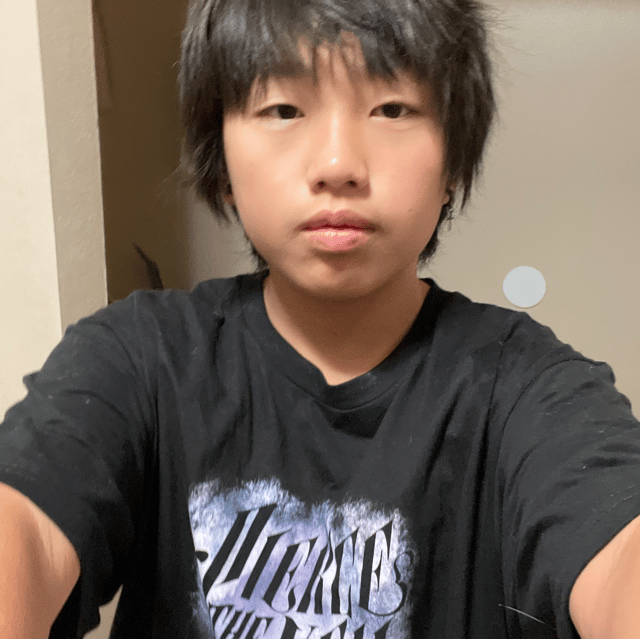 Voice AI Voice