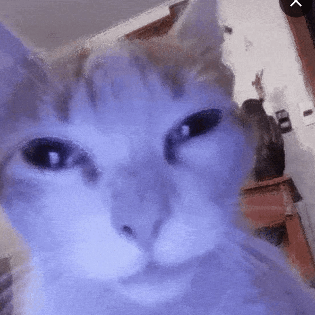 Voice AI Voice