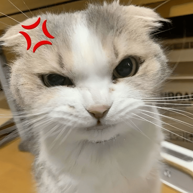 Voice AI Voice