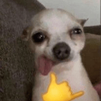 Voice AI Voice