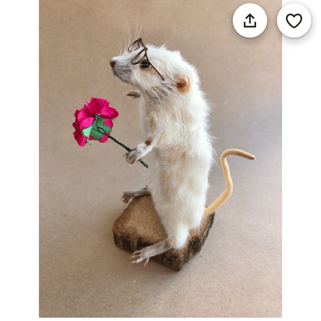 Voice AI Voice