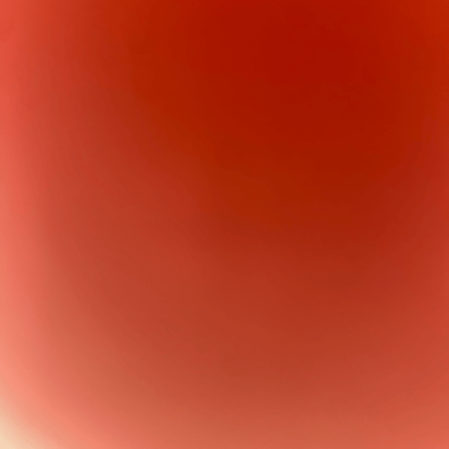 Voice AI Voice