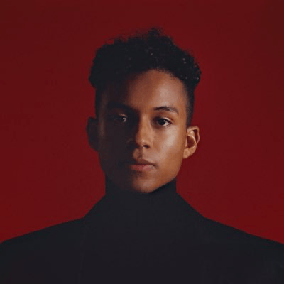 Voice AI Voice