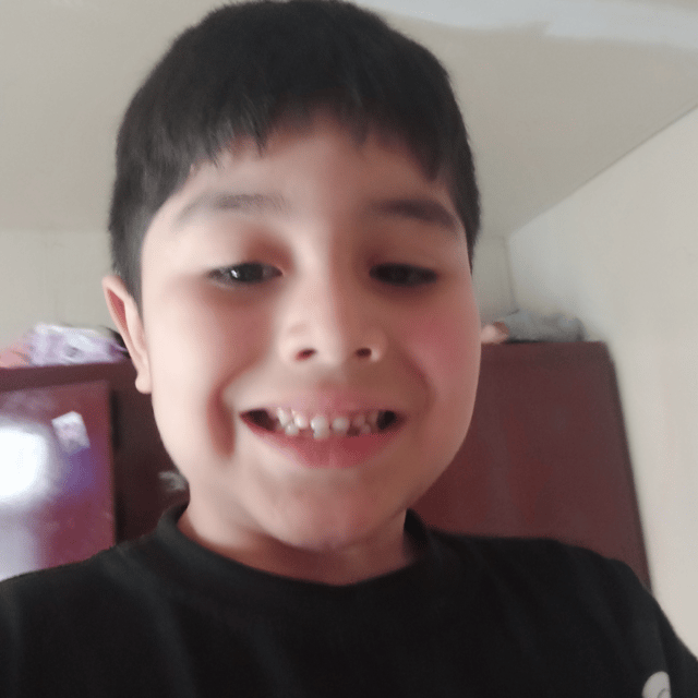 Voice AI Voice