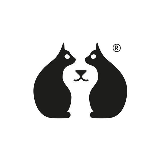 Voice AI Voice