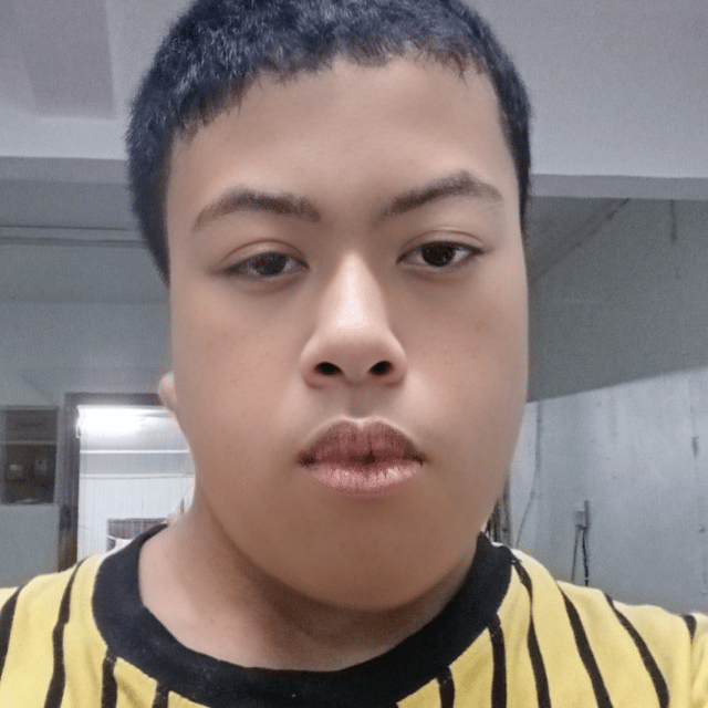 Voice AI Voice