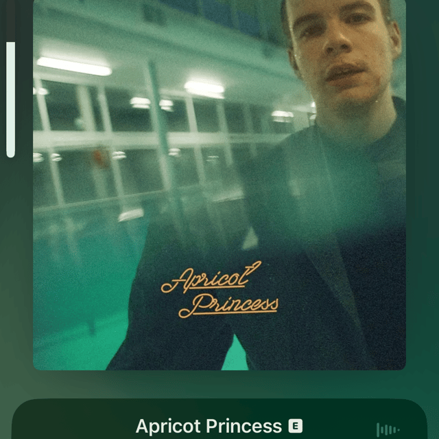Voice AI Voice