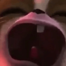 Voice AI Voice