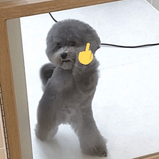 Voice AI Voice