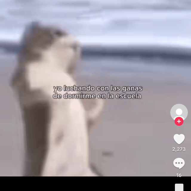 Voice AI Voice