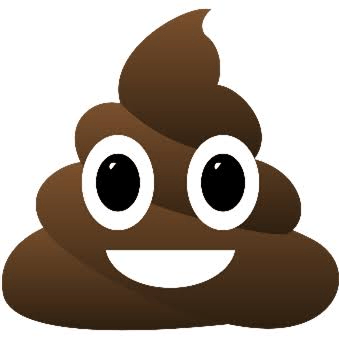 Voice AI Voice