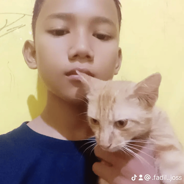Voice AI Voice