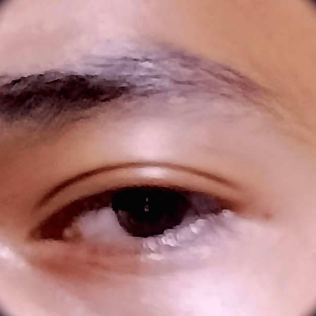 Voice AI Voice