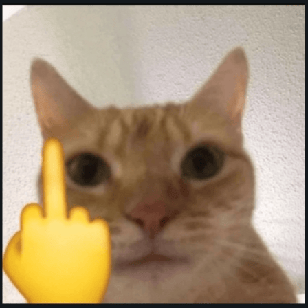 Voice AI Voice