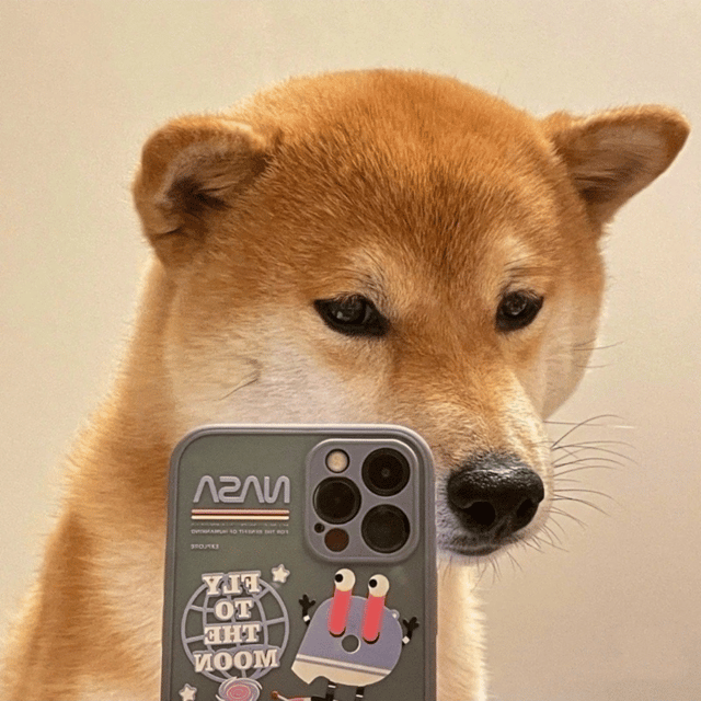 Voice AI Voice