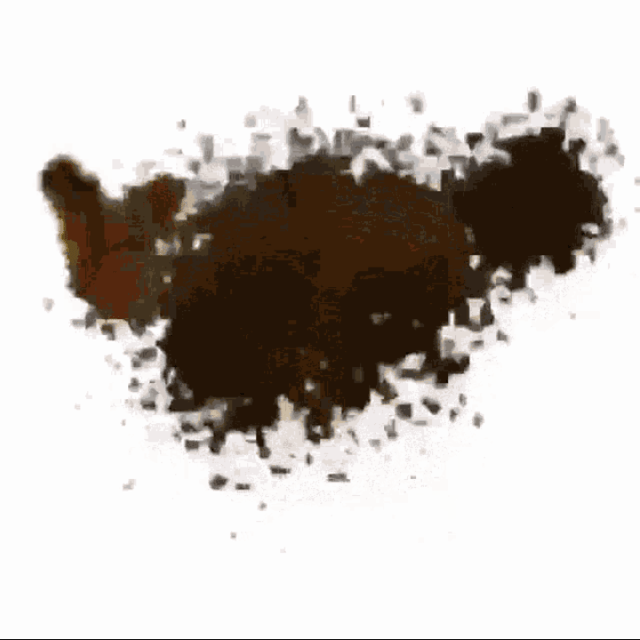 Voice AI Voice
