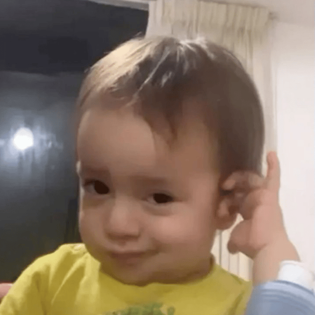 Voice AI Voice