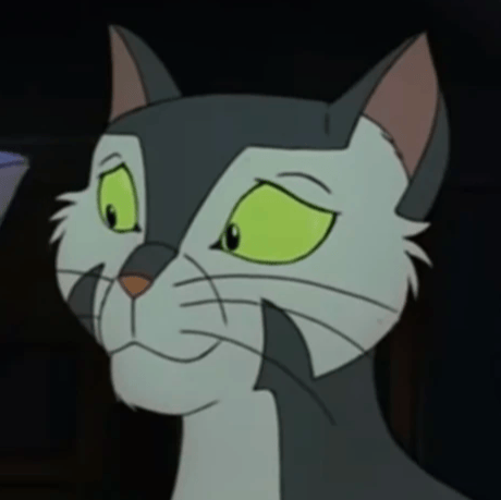 Francis (Felidae) Image