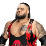 Bronson Reed  AI Voice