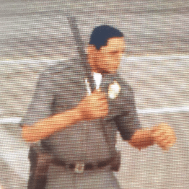Cop #4 (Gta San Andreas) AI Voice
