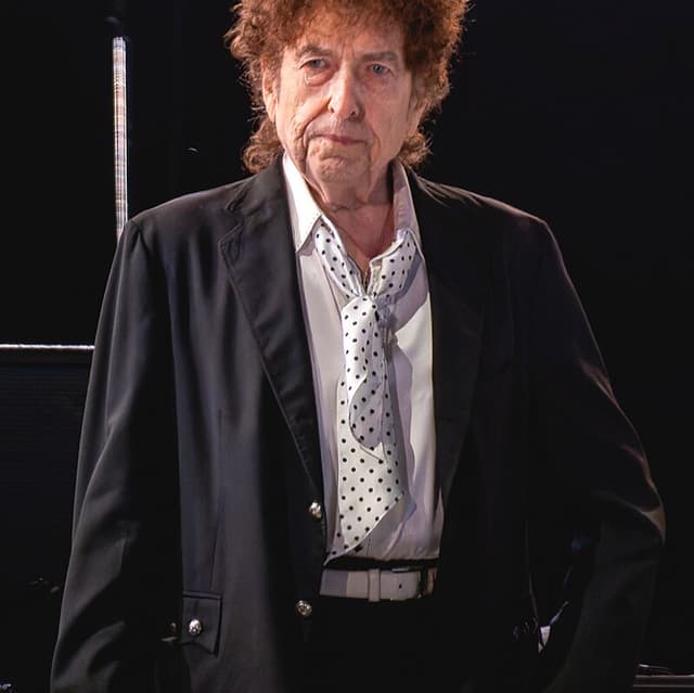Bob Dylan (Older) Image
