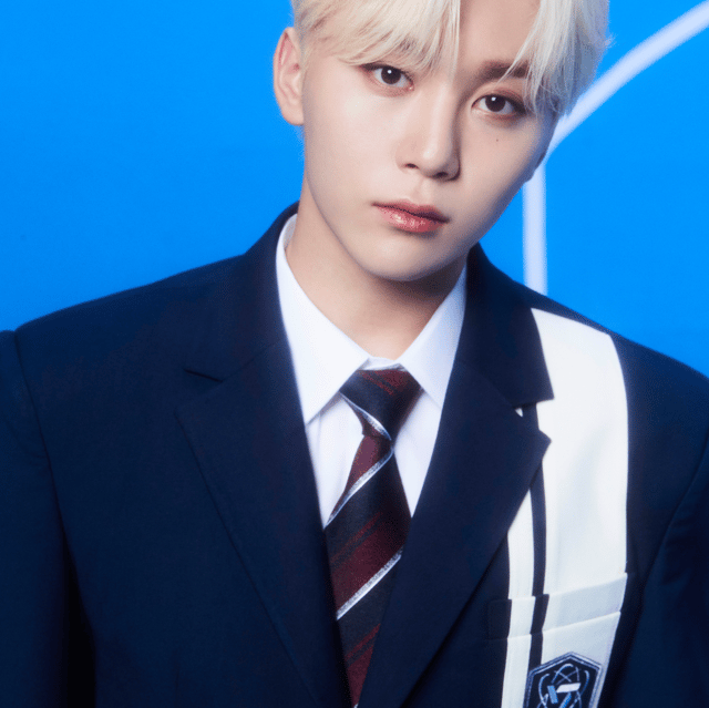Seungkwan (SEVENTEEN) AI Voice