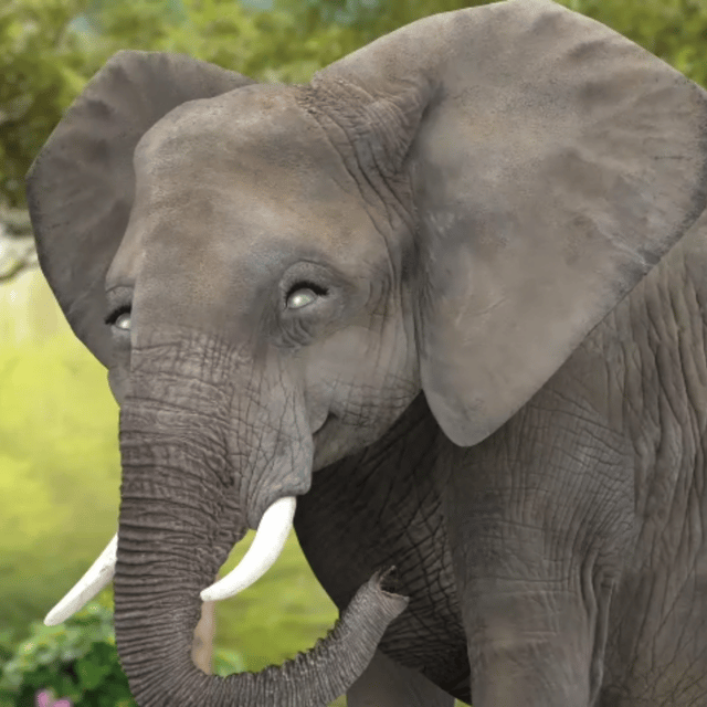 AI Elephant (Wonder Pets: In The City) AI Voice