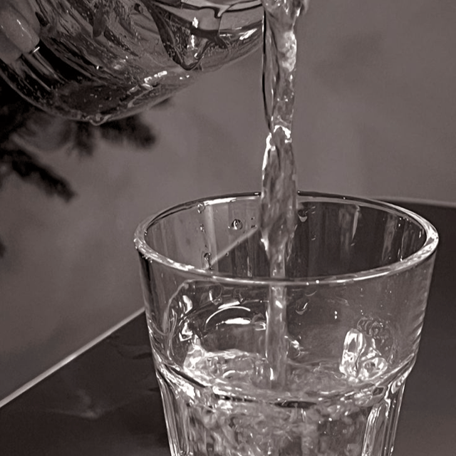 Water AI Voice