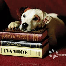 Wishbone (PBS) AI Voice