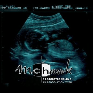 Mohawk Productions Inc Logo AI Voice