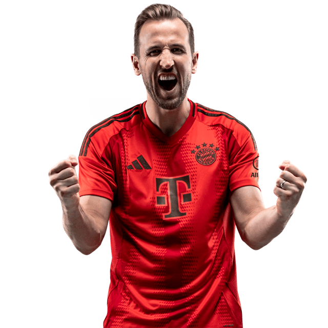 Harry Kane Image