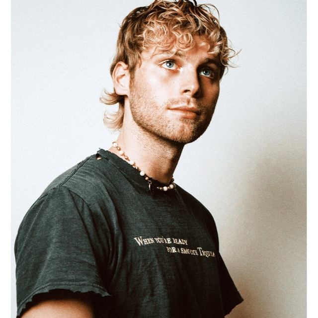 5sos luke ai1 AI Voice