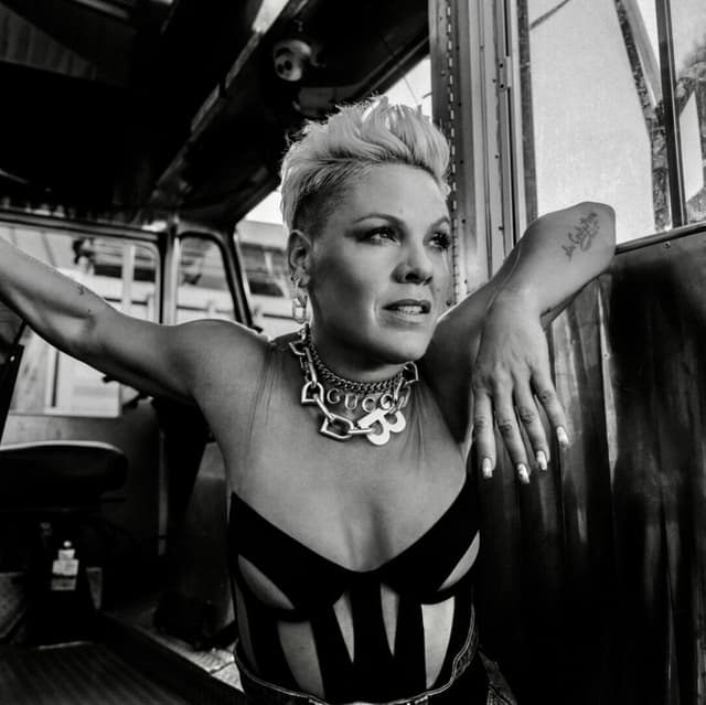 P!nk (Post-2017) Image