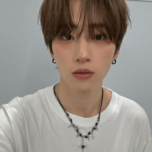 Fengfan AI Voice