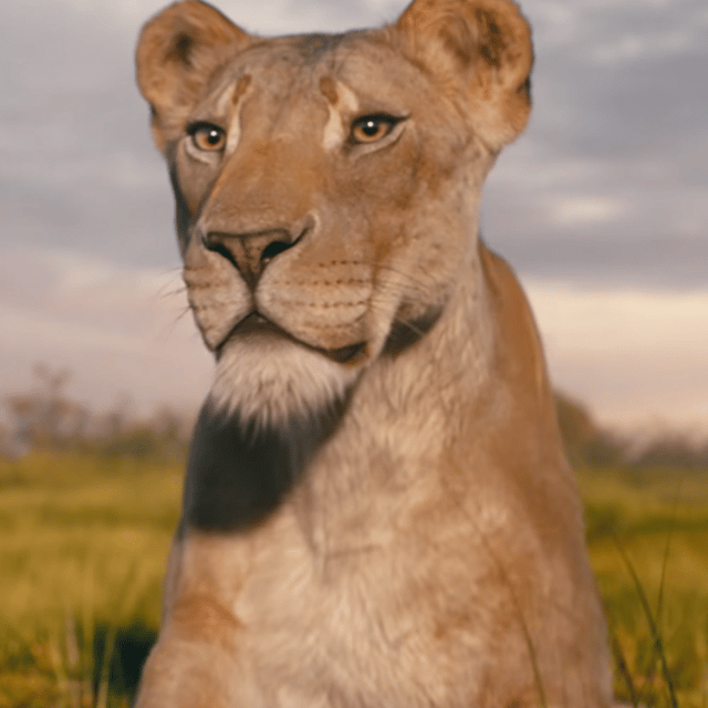 Eshe {Mufasa: The Lion King} Image