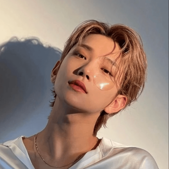 Joshua Seventeen Hong Jisoo SVT Image