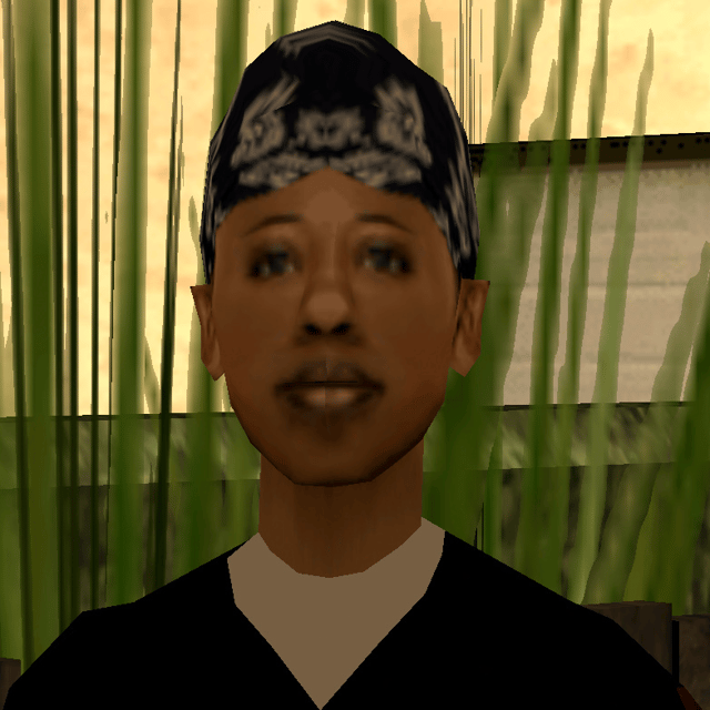 Denise Robinson GTA San Andreas  Image