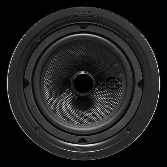 Swamp Izzo v1  MUSIC EDITION AI Voice