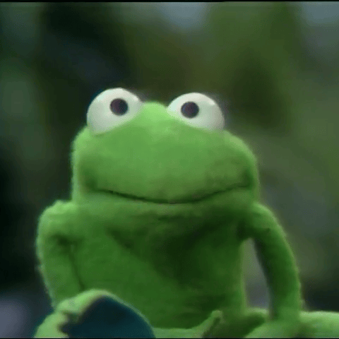 Robin The Frog AI Voice