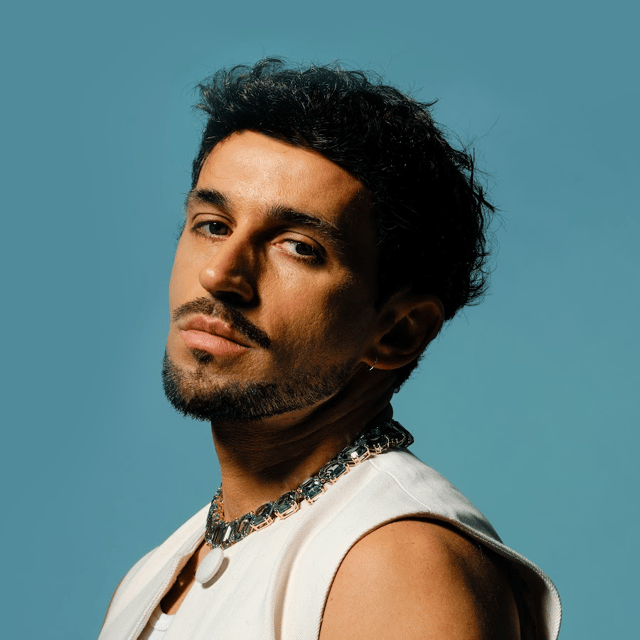 Ridsa AI Voice