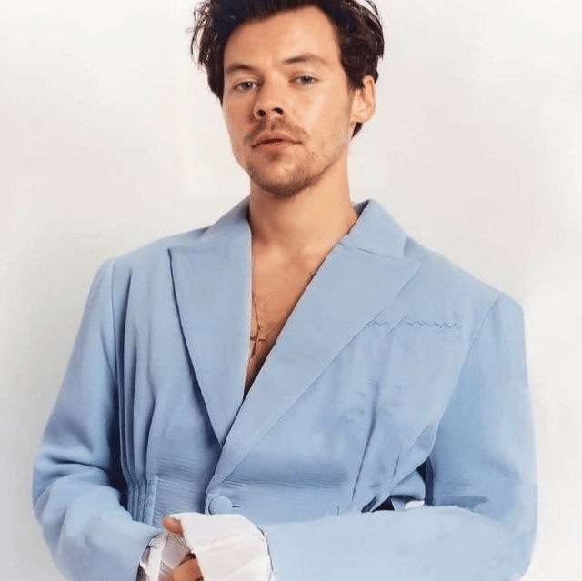 Harry Styles  AI Voice
